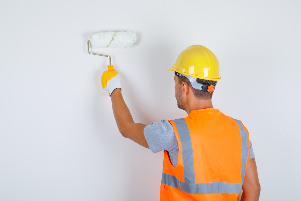 Paint & Wall Finish Expert